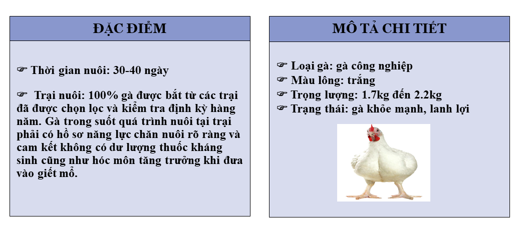 Profile T FOODS 5